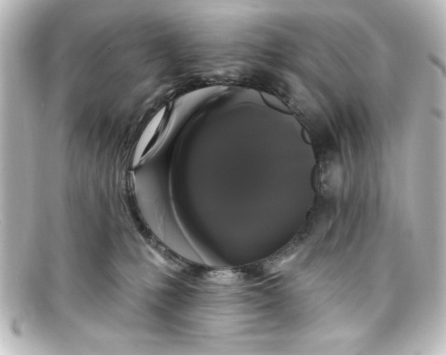 X0000098130231200805081005