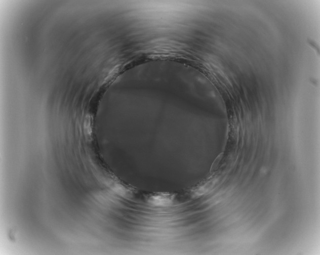 X0000098130232200805081005