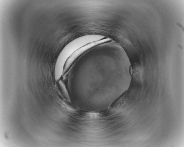 X0000098130233200805081005