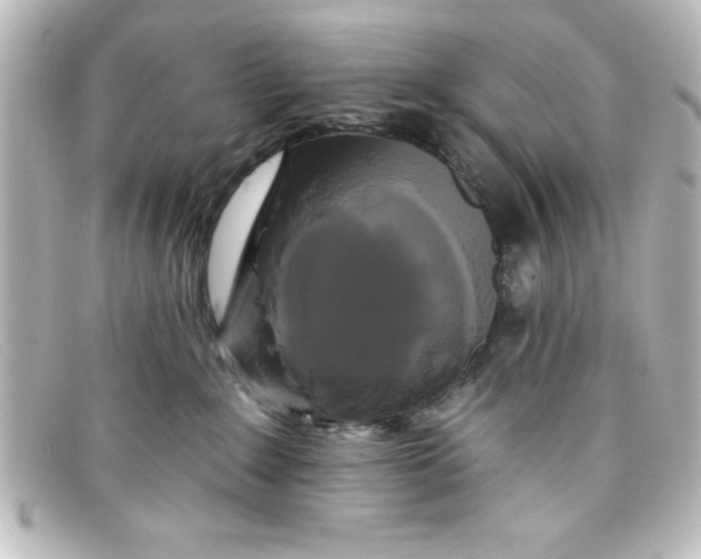 X0000098130235200805081005