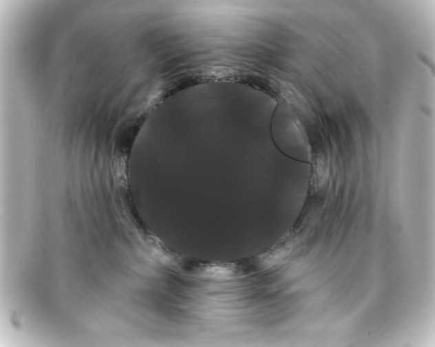 X0000098130236200805081005