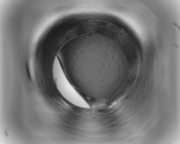 X0000098130239200805081005