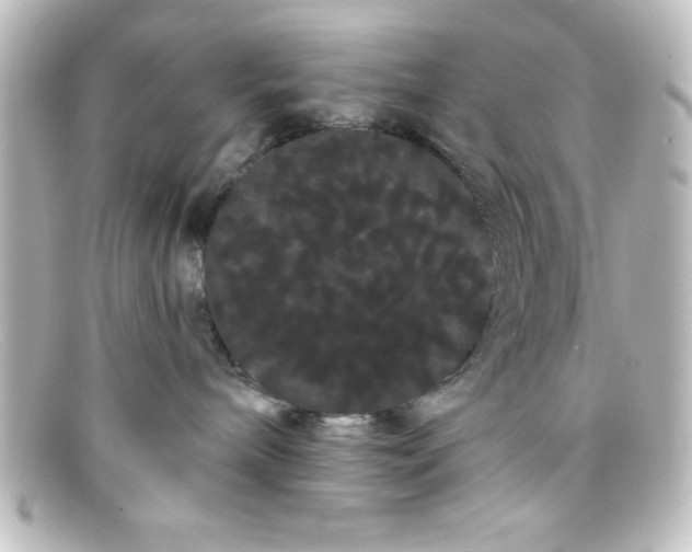 X0000098130240200805081005