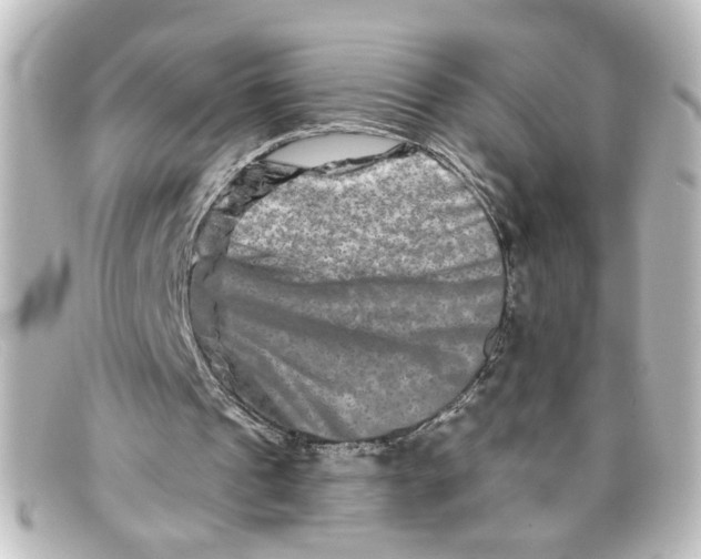 X0000098130241200805081004