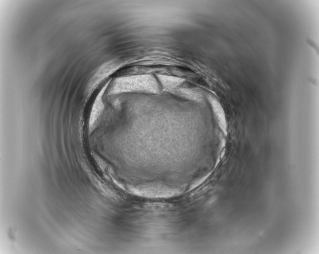X0000098130242200805081004