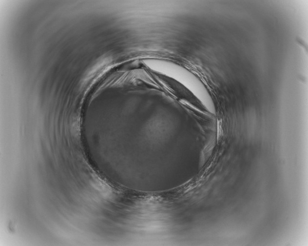 X0000098130243200805081004