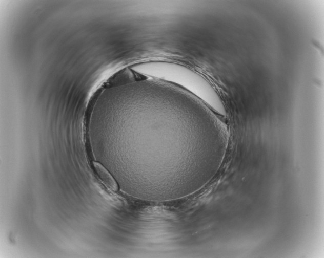 X0000098130244200805081004