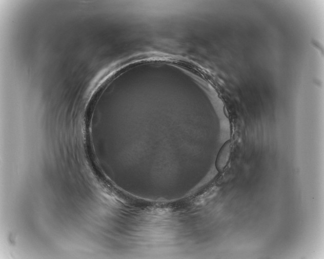 X0000098130247200805081004