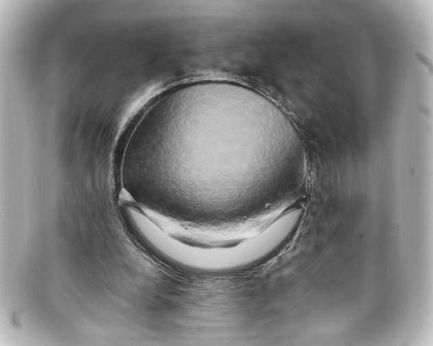 X0000098130248200805081004