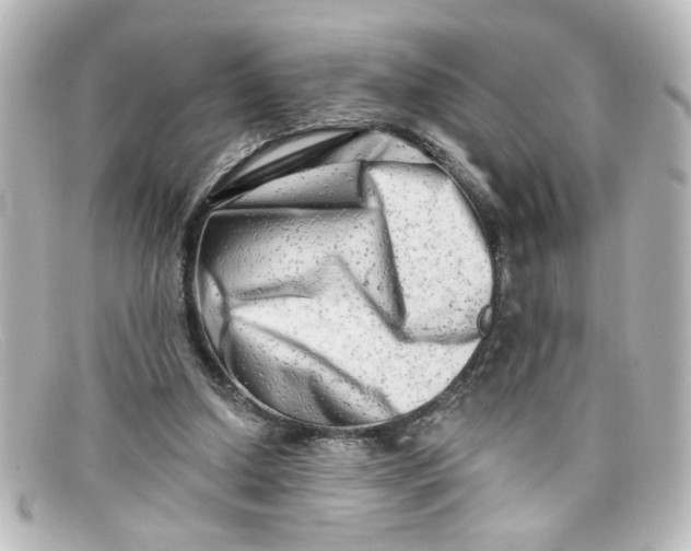 X0000098130250200805081004