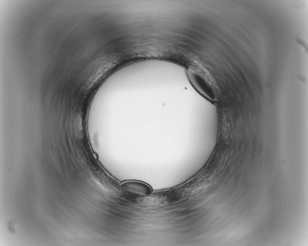 X0000098130251200805081004