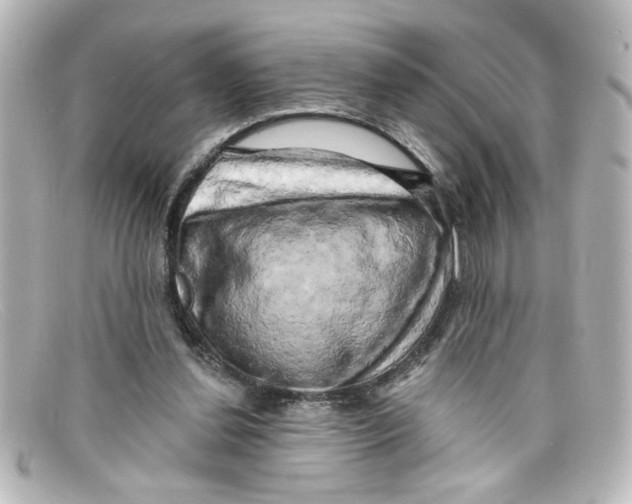X0000098130252200805081004