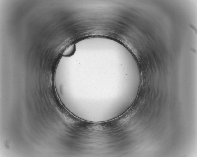 X0000098130253200805081004