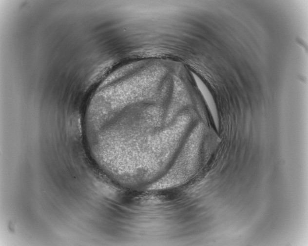 X0000098130254200805081004