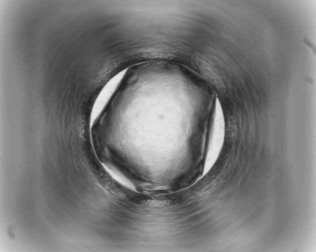 X0000098130255200805081004