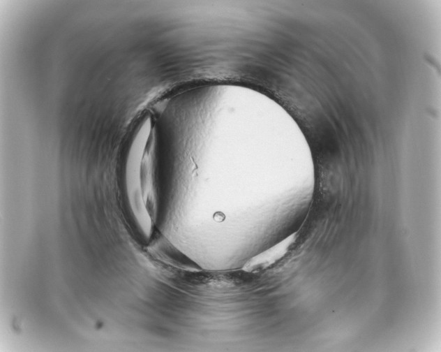 X0000098130256200805081004