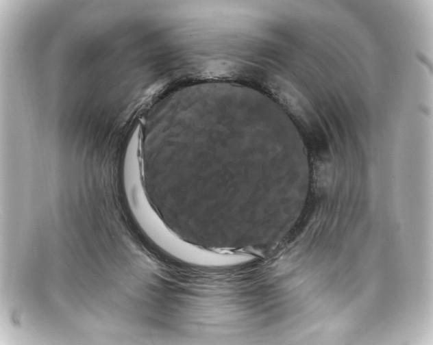 X0000098130260200805081004