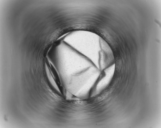 X0000098130261200805081004