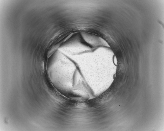 X0000098130262200805081004