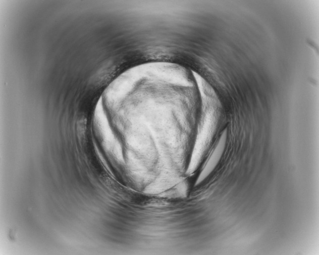 X0000098130263200805081004