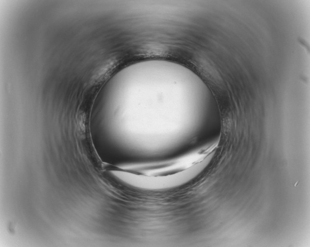 X0000098130264200805081004
