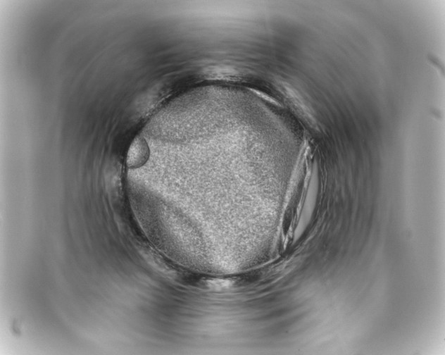 X0000098130265200805081005