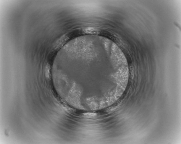 X0000098130266200805081005