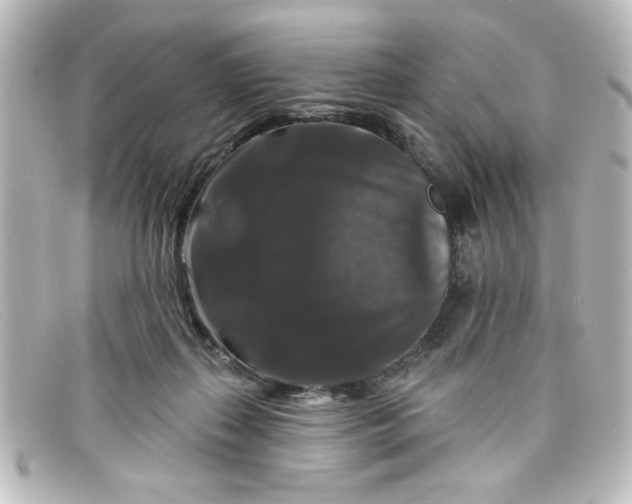 X0000098130267200805081005