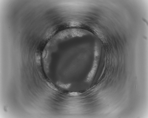 X0000098130269200805081005