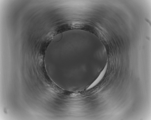 X0000098130271200805081005