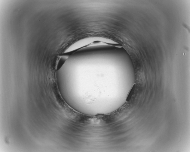 X0000098130272200805081005