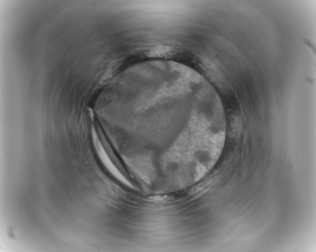 X0000098130273200805081005
