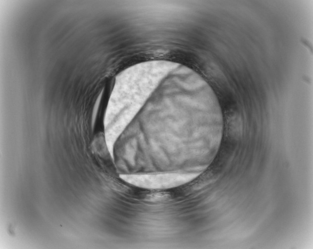 X0000098130274200805081005
