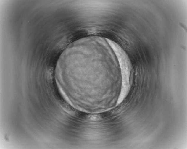 X0000098130275200805081005