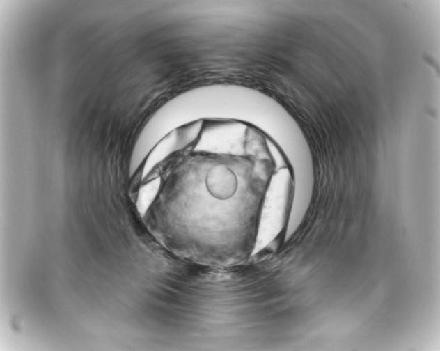 X0000098130276200805081005