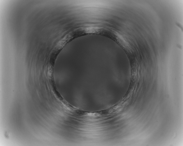 X0000098130277200805081005