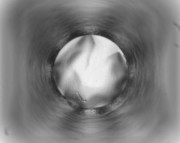 X0000098130279200805081005