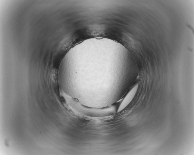 X0000098130280200805081005
