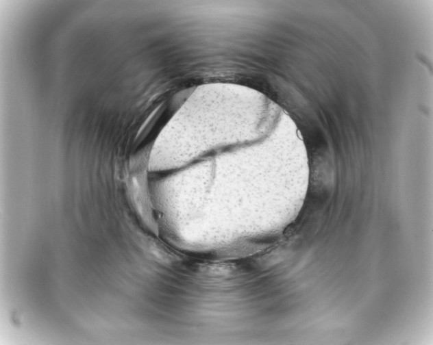 X0000098130282200805081005