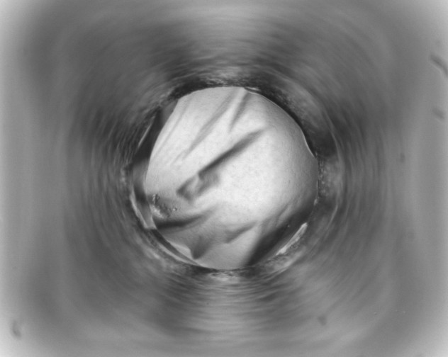 X0000098130284200805081005