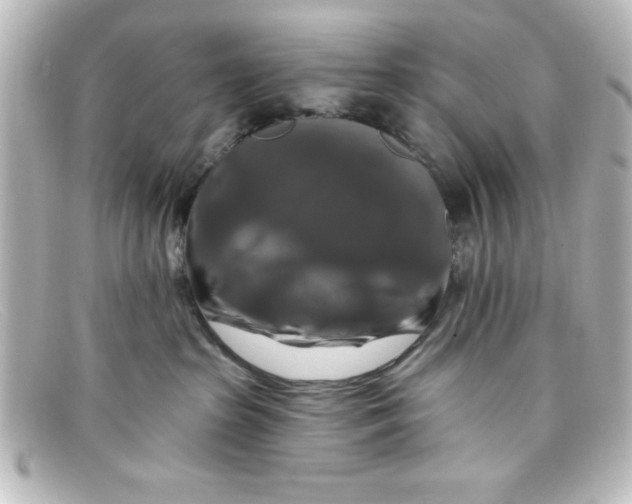 X0000098130285200805081005