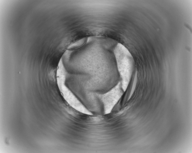 X0000098130286200805081005