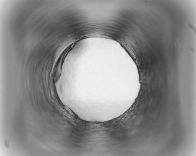 X0000098130289200805081004