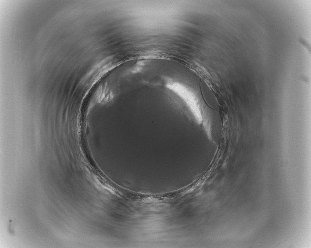 X0000098130290200805081004