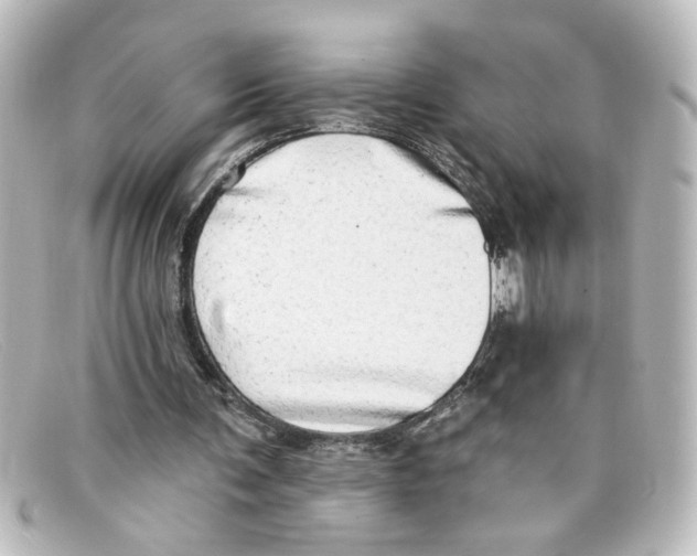 X0000098130291200805081004