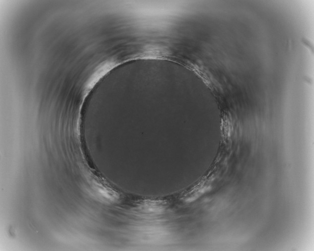 X0000098130292200805081004