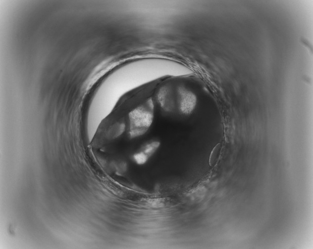 X0000098130295200805081004