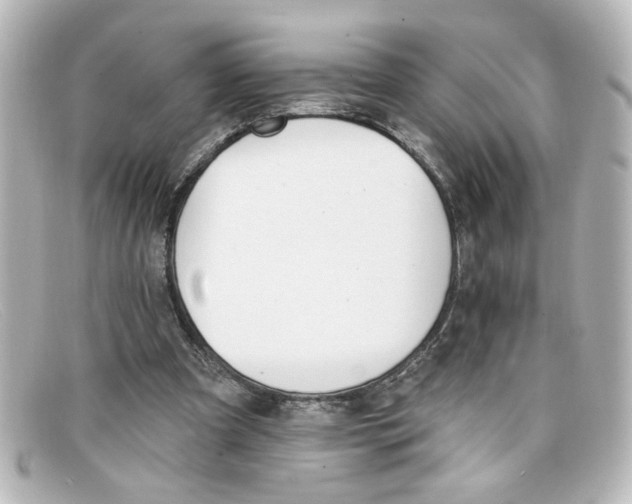 X0000098130297200805081004