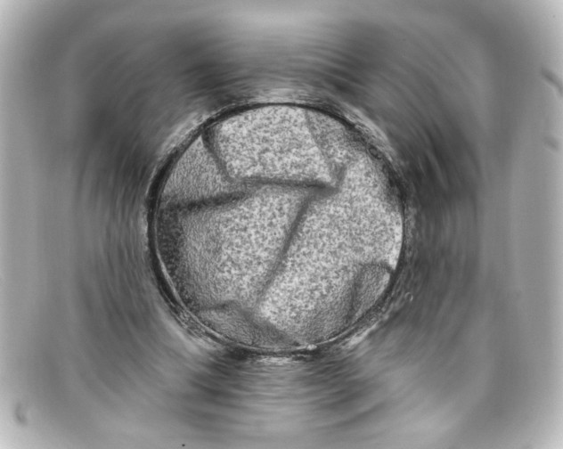 X0000098130298200805081004