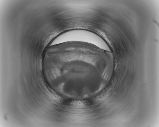 X0000098130299200805081004